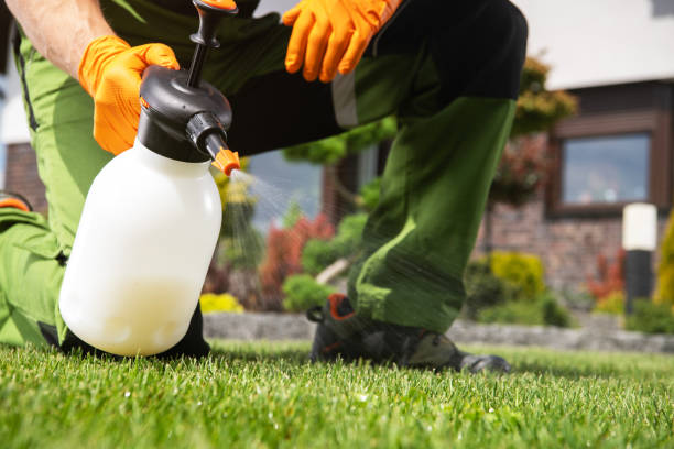 Best Bed Bug Extermination  in North Bellmore, NY